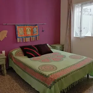  Apartamento Lo Flamenc 2 @amposta España